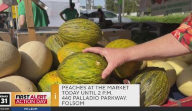 Peaches at the Market, 9am
