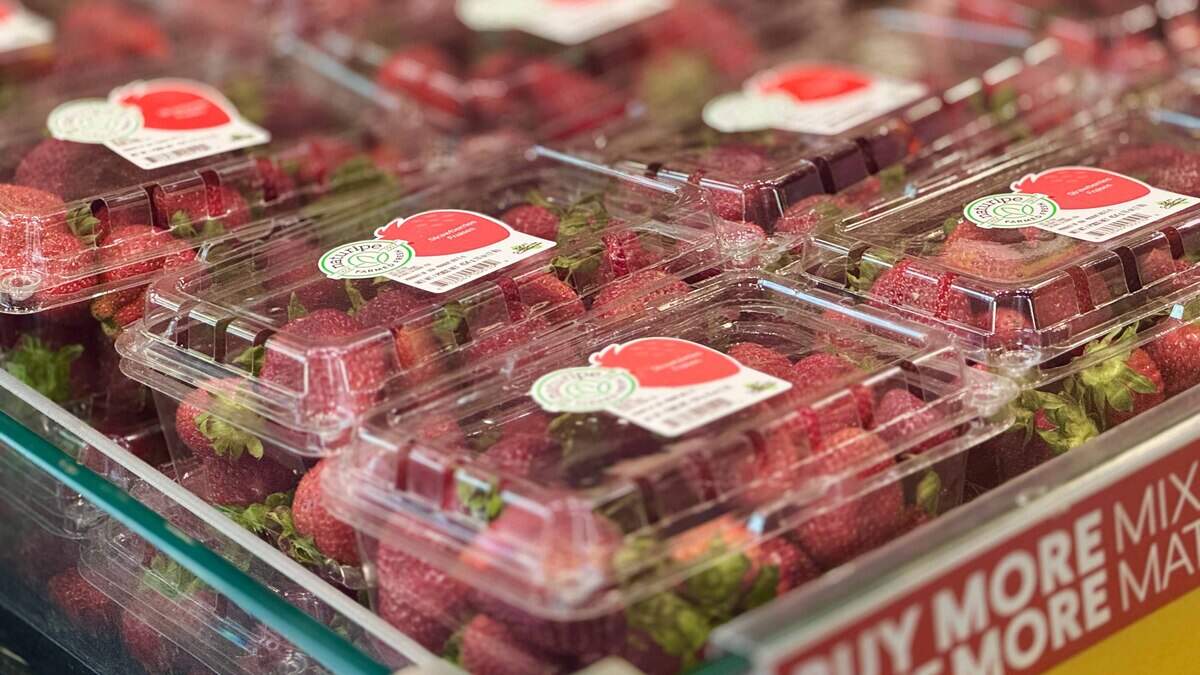 How California’s plastic law affects growers, consumers