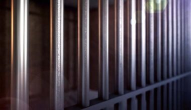 West Sacramento felon gets 4+ years in prison for 3rd gun offense | Crime