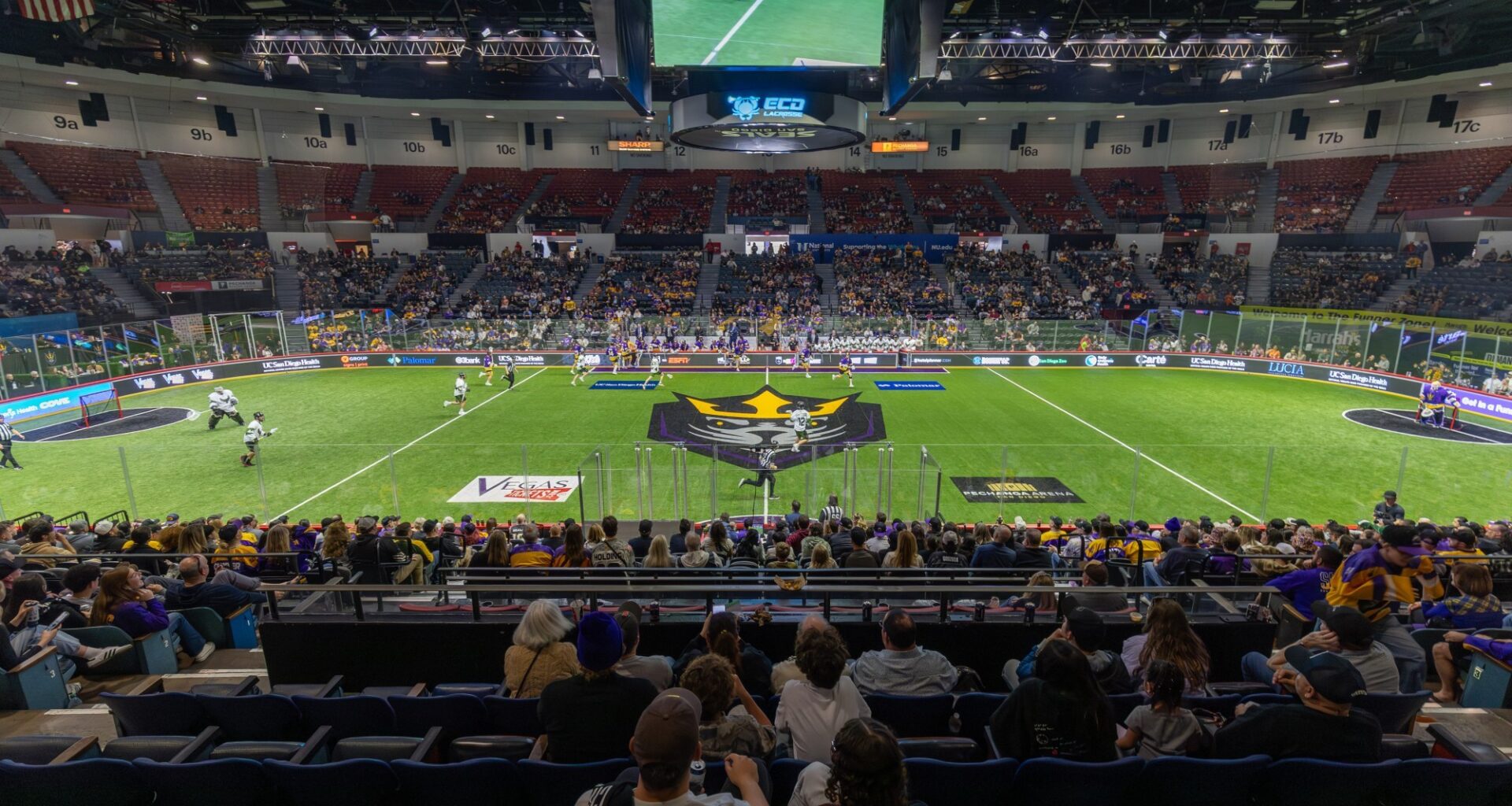 San Diego Seals moving games to Oceanside, will play at Frontwave Arena