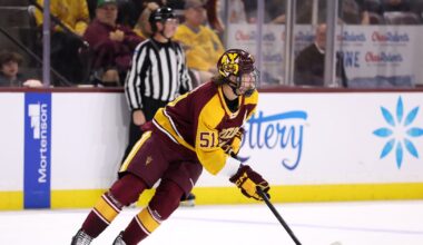 Anaheim Ducks acquire forward Cruz Lucius from Pittsburgh Penguins