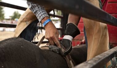 California Rodeo Association condemns viral Salinas bull video and bars renter from future events
