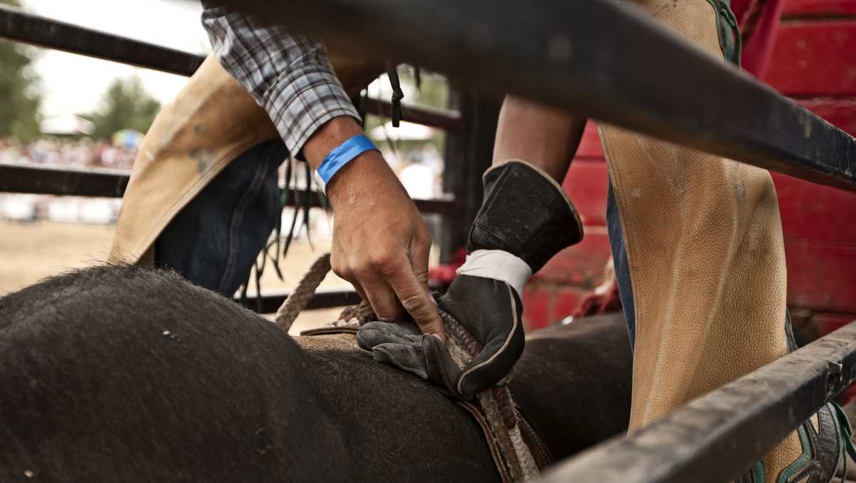 California Rodeo Association condemns viral Salinas bull video and bars renter from future events