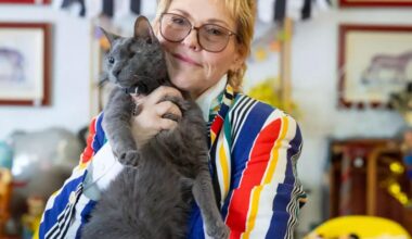 One-eyed rescue cat with cult following celebrates 15th birthday in style |