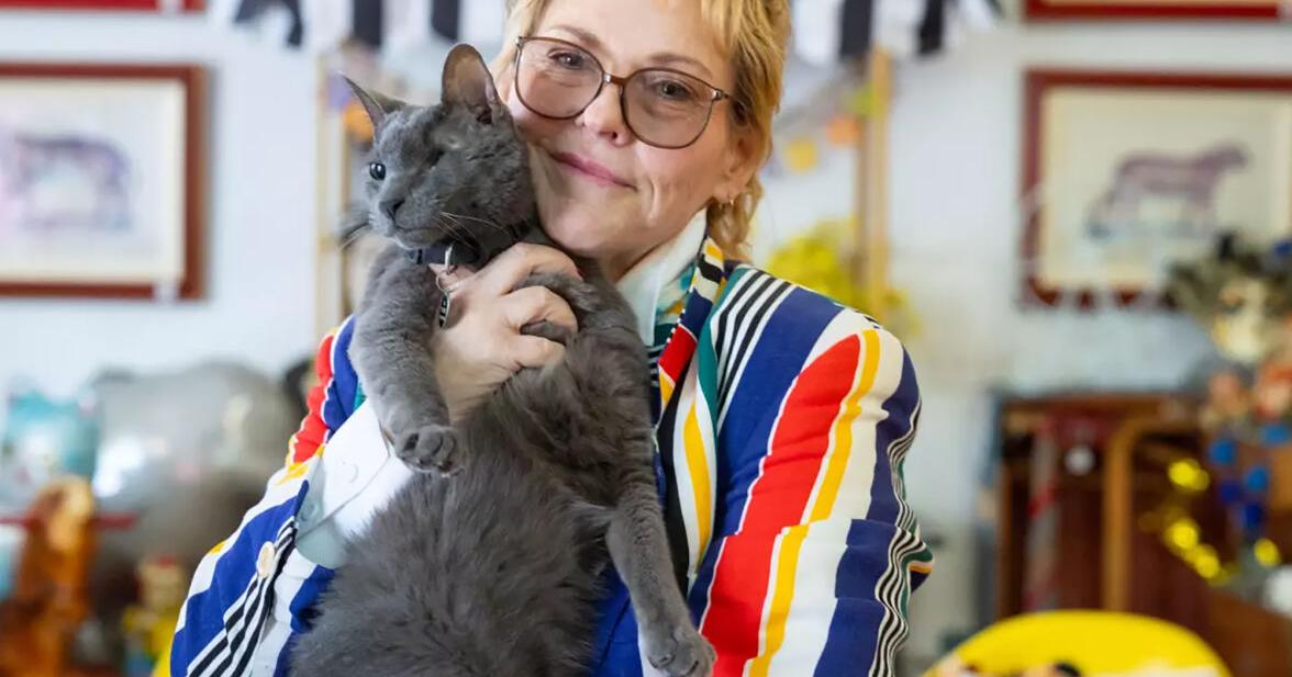 One-eyed rescue cat with cult following celebrates 15th birthday in style |