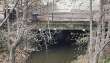 San Anselmo residents want their money back after pulling out of flood control district