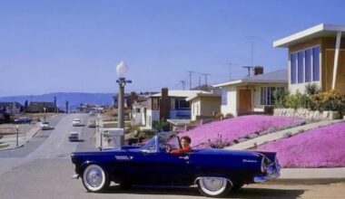 The Price of Progress: Forgotten neighborhoods around LAX highlighted in new documentary | Features