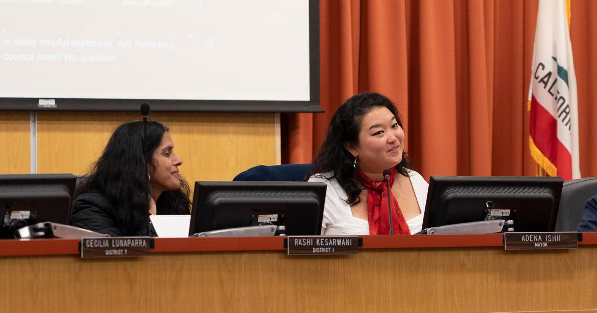 Berkeley City Council recesses after budget cuts, surveillance controversy, deregulation of Berkeley police | City Government