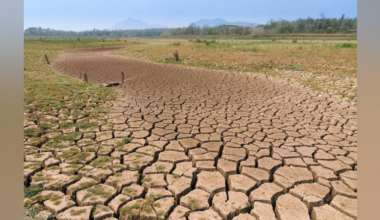 Report Says the Sacramento Valley Aquifer Is Collapsing
