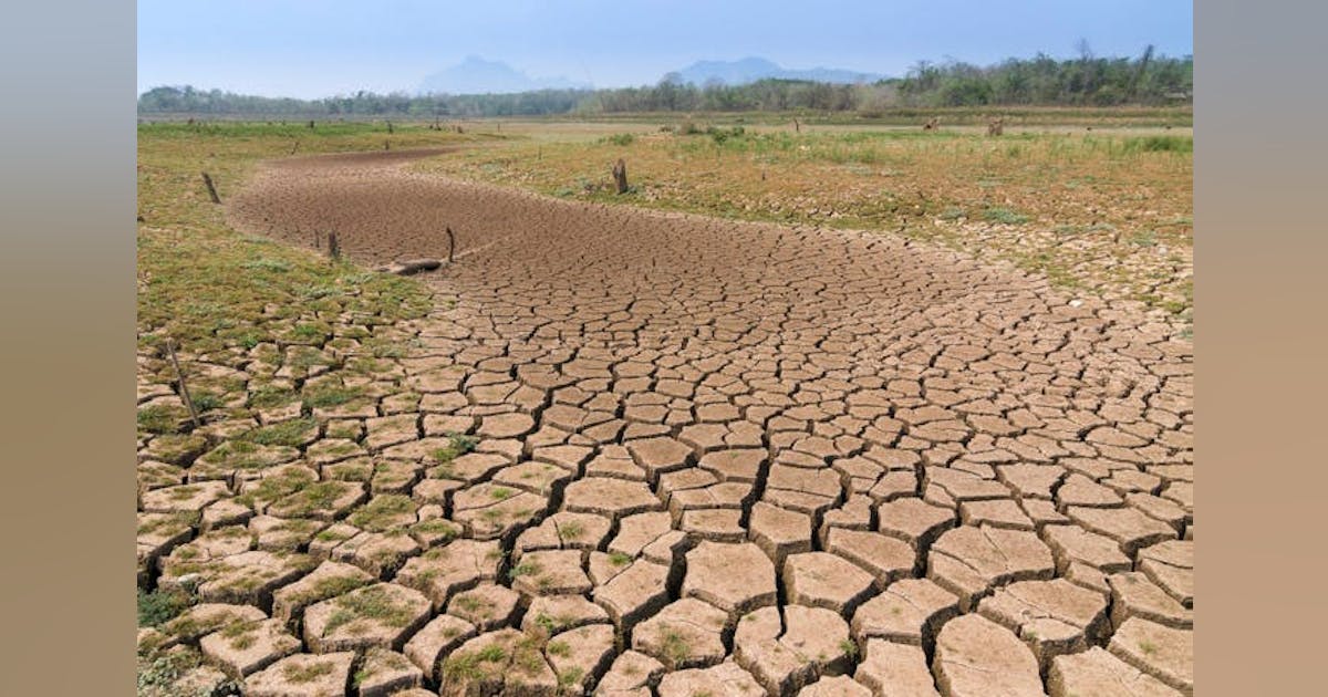 Report Says the Sacramento Valley Aquifer Is Collapsing