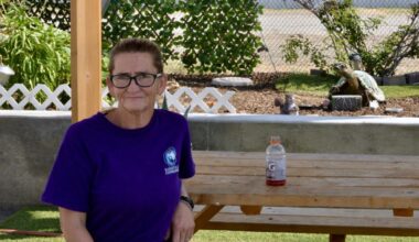 M Street Navigation Center brings therapy services to the people | News