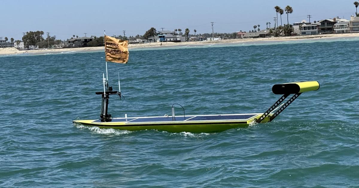 California scientists build robot to look for great white sharks near beaches | Lifestyle
