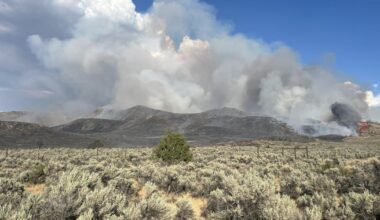 Bug Fire northwest of Cold Springs grows to 800 acres, evacuation orders issued in Washoe County | Local News