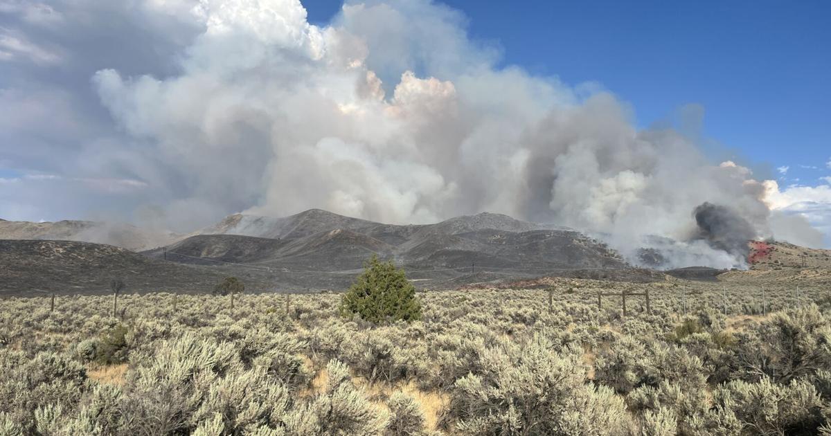 Bug Fire northwest of Cold Springs grows to 800 acres, evacuation orders issued in Washoe County | Local News