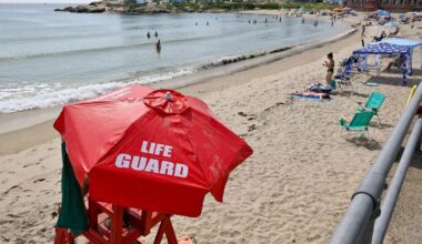 Shark sighting reported at Long Beach | News