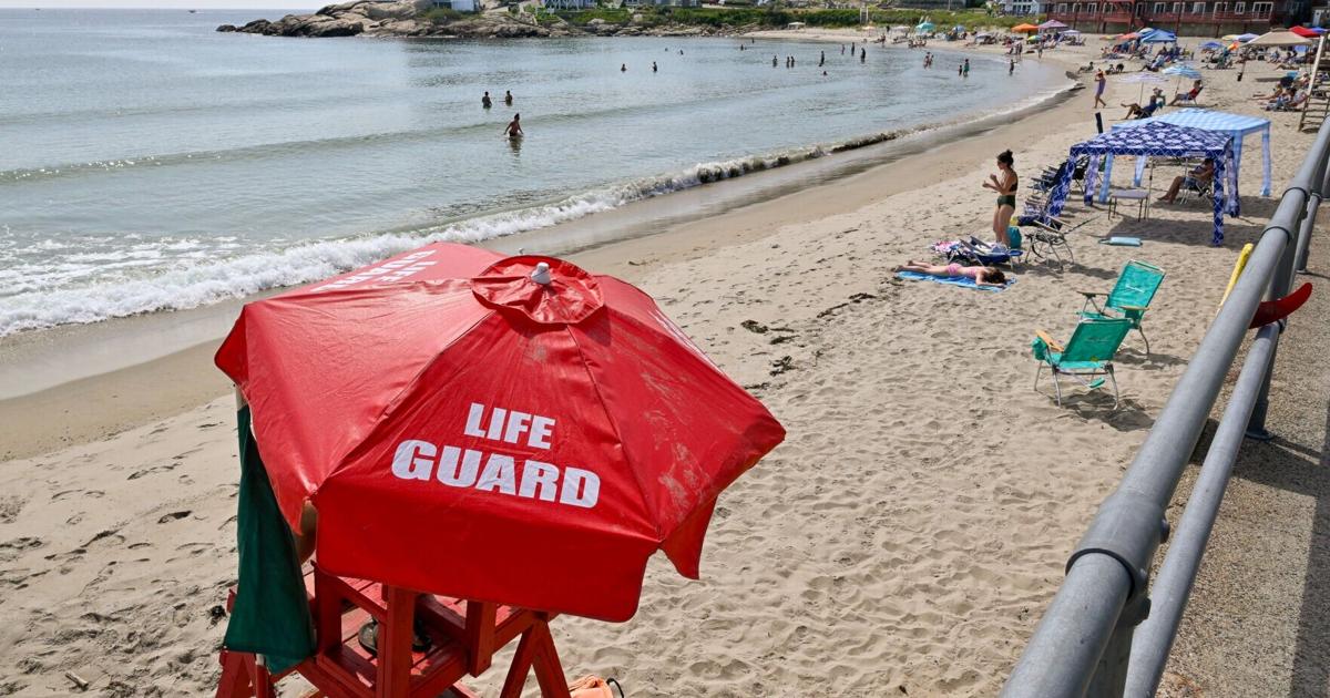Shark sighting reported at Long Beach | News
