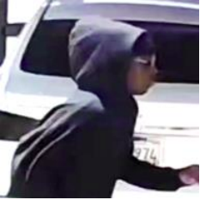 BPD requests help finding grand theft suspect | News