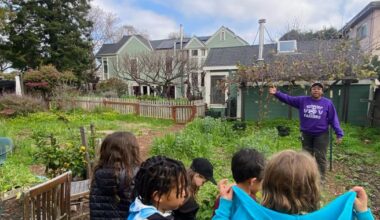 Berkeley community farm aims to raise $25,000 to establish nonprofit | City