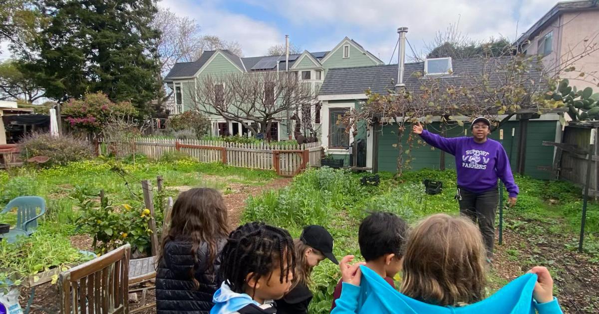Berkeley community farm aims to raise $25,000 to establish nonprofit | City