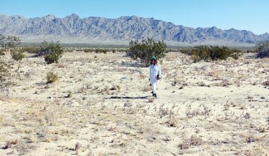 Land artist to discuss Joshua Tree work at MOCA | News