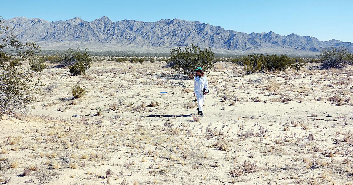 Land artist to discuss Joshua Tree work at MOCA | News