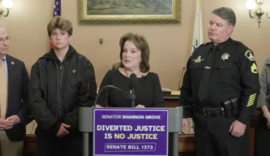 Grove's mental health diversion reform bill dies in committee | News