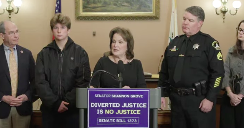 Grove's mental health diversion reform bill dies in committee | News