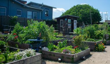 2 UC Berkeley students create landscaping business within Berkeley tech bubble | Student Life