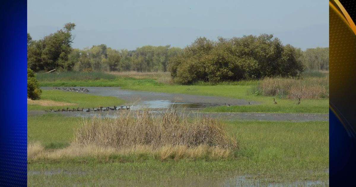Hunters invited to give input on California wildlife hunting opportunities | Covering California