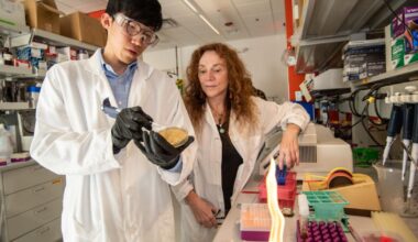 Berkeley Lab researchers make breakthrough in treatment of incurable Huntington’s disease | Research And Ideas