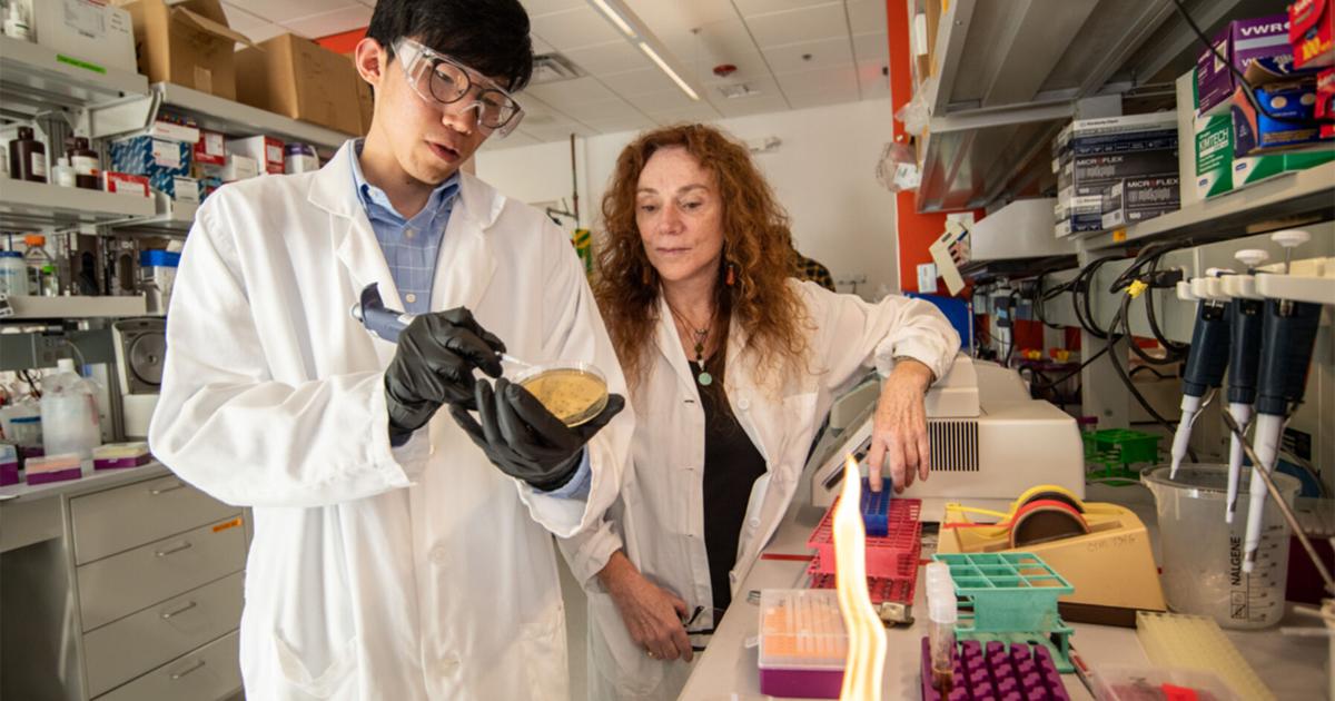 Berkeley Lab researchers make breakthrough in treatment of incurable Huntington’s disease | Research And Ideas