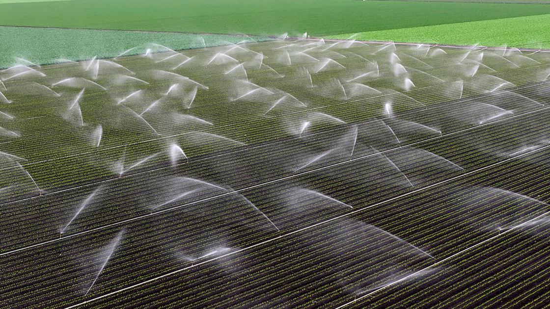 Arizona's bid for California water could be a long shot
