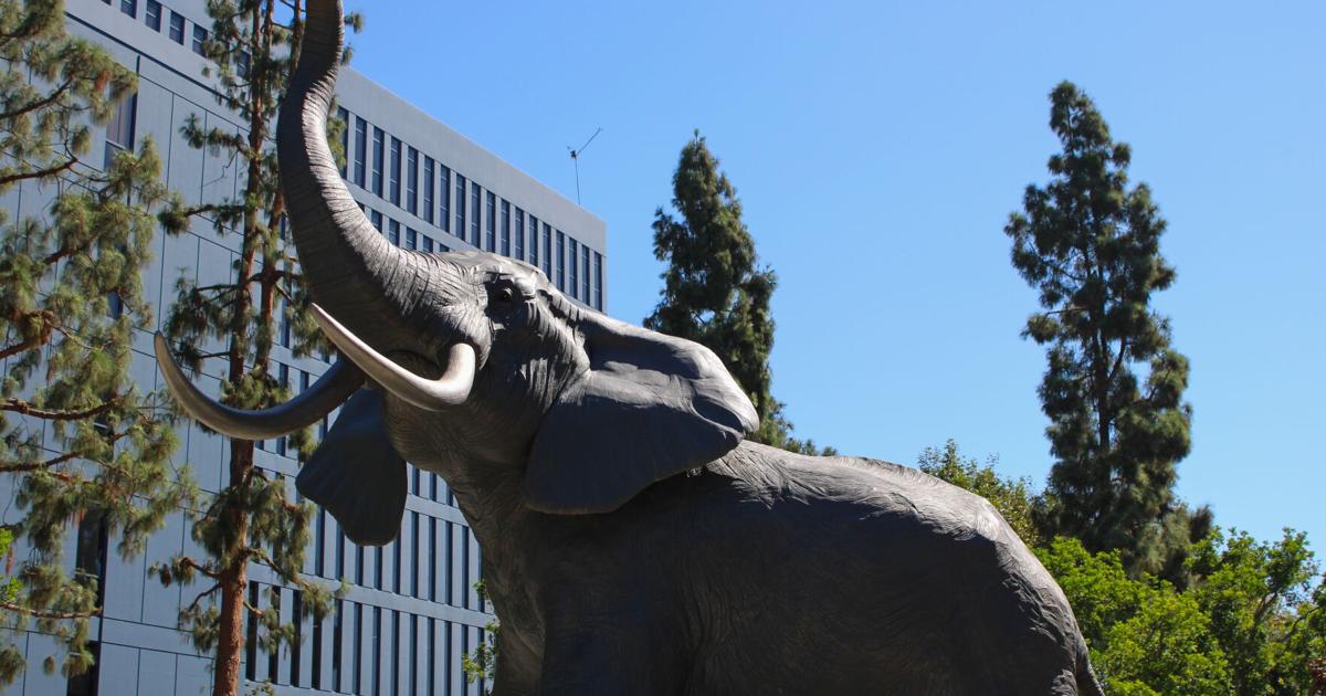 Donor-funded titan statue completes construction after 30 years of planning | News