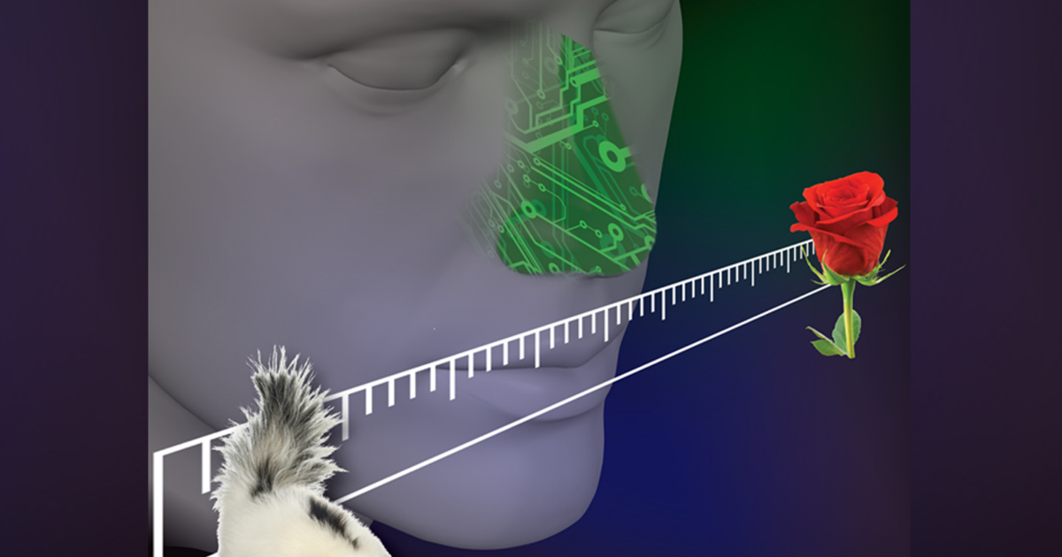 UC Berkeley researchers develop electric ‘nose’ to help sniff out spoiled food and nut allergens | Research And Ideas