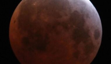How to see tonight’s partial lunar eclipse in Los Angeles | Los Feliz News