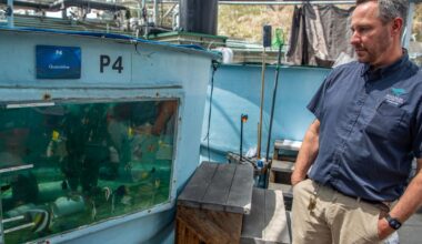 How the Aquarium of the Pacific scrambled to save hundreds of sea creatures after 2 smuggling busts | National