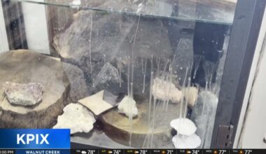 San Francisco jeweler loses hundreds of thousands in devastating burglary | National and World News