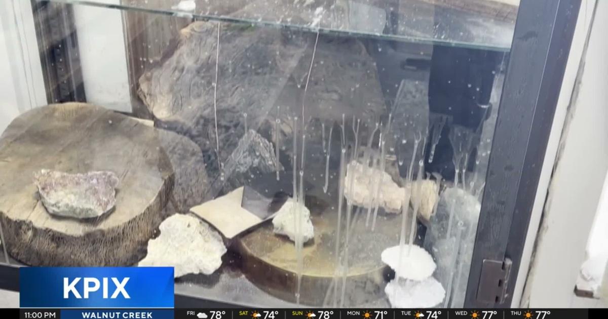 San Francisco jeweler loses hundreds of thousands in devastating burglary | National and World News