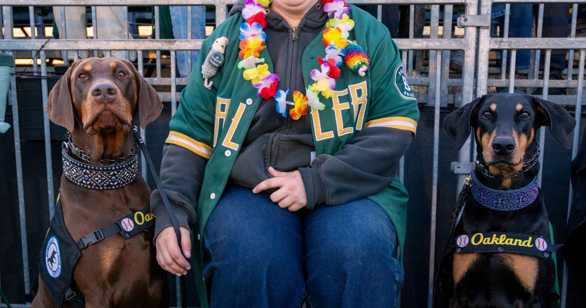 Independent Oakland Ballers minor league club uses metrics, finds winning fan to manage finale | MLB