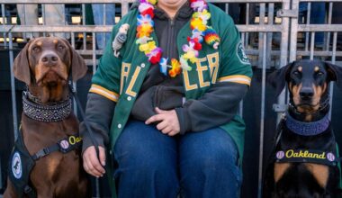 Independent Oakland Ballers minor league club uses metrics, finds winning fan to manage finale |