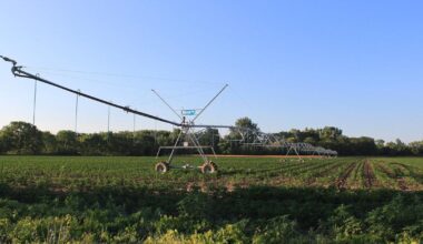 UC Berkeley researchers develop digital twin to study Pajaro River flood risk | Research And Ideas