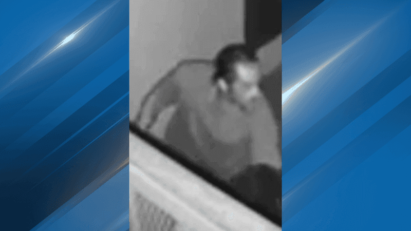 The Bakersfield Police Department is asking for the community’s help in identifying two people accused of stealing an industrial cooling fan from Moo Scratch Kitchen. PHOTO: BPD