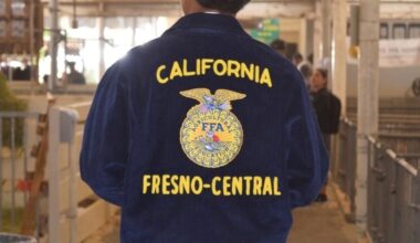 The Big Fresno Fair | Blog