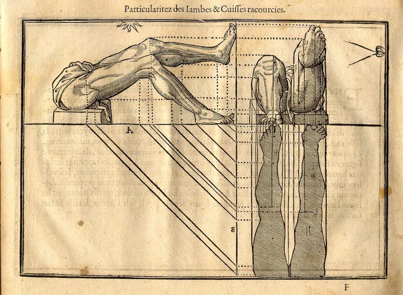 An antique engraving illustrating perspective and foreshortening of human legs. The French title reads "Particularitez des Iambes & Cuiffes racourcies." The top half shows two views of a male lower body seated on a block: a side profile on the left with one leg bent and one extended, and a front-facing foreshortened view on the right. Dotted lines connect anatomical points between the views. The bottom half displays diagonal projection lines mapping to a flattened, top-down silhouette of the legs on the right.