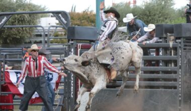 The Big Fresno Fair | Blog
