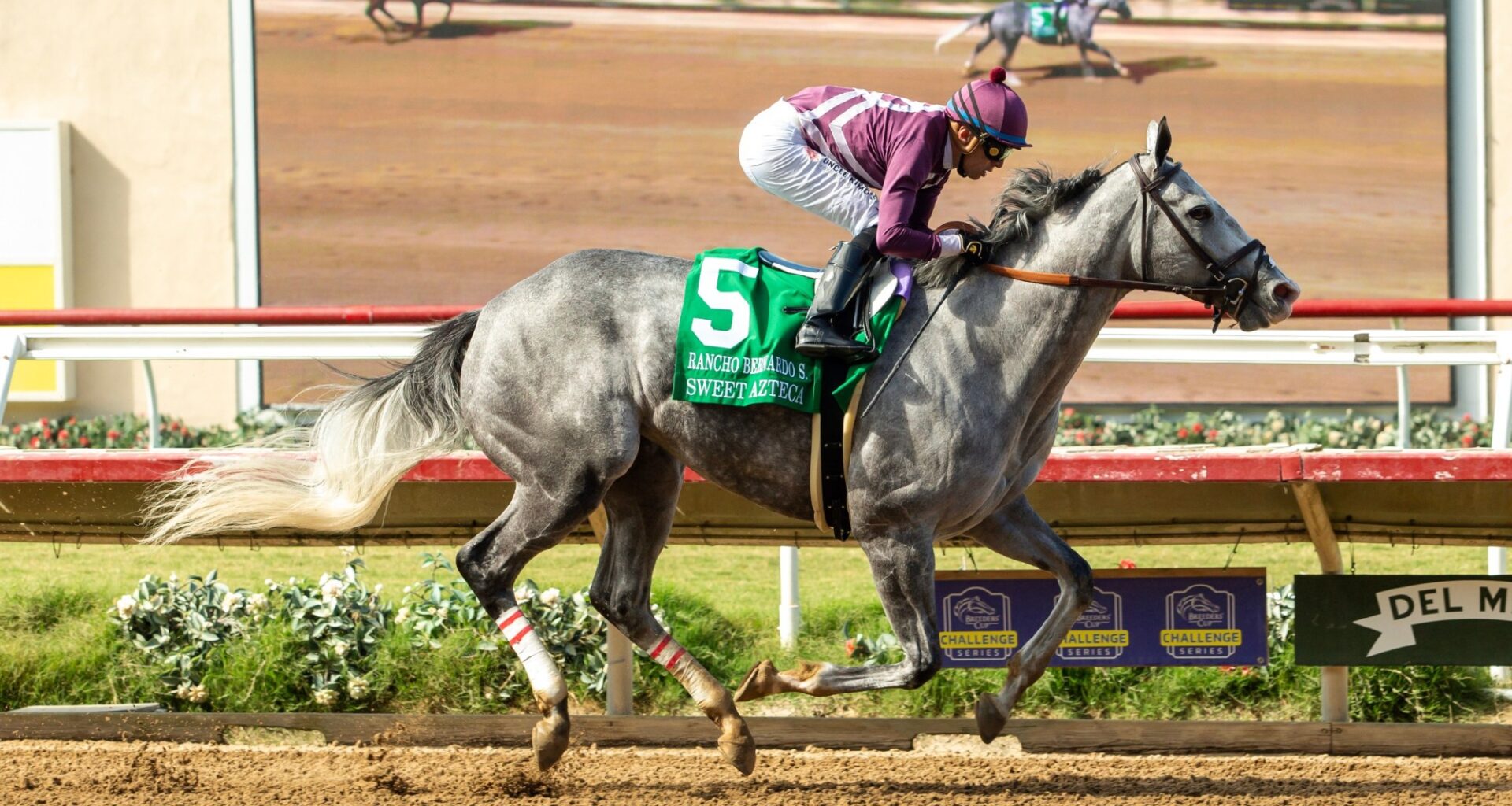 Del Mar notebook: Pacific Classic field set; Sweet Azteca wins another Rancho Bernardo Stakes