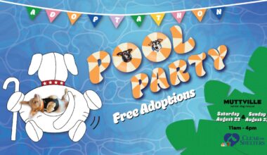Muttville Clear the Shelters Pool Party – NBC Bay Area