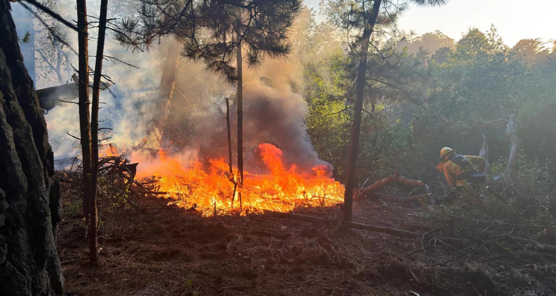 Half-acre wildfire knocked down near Chabot Space & Science Center in Oakland Hills