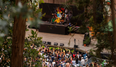 A music event is happening outdoors with a DJ on stage and a large crowd watching and raising their hands, surrounded by trees and greenery.