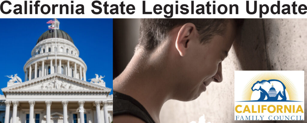 CA State Senate rewrite of “sex offender” bill still allows predators to run for office